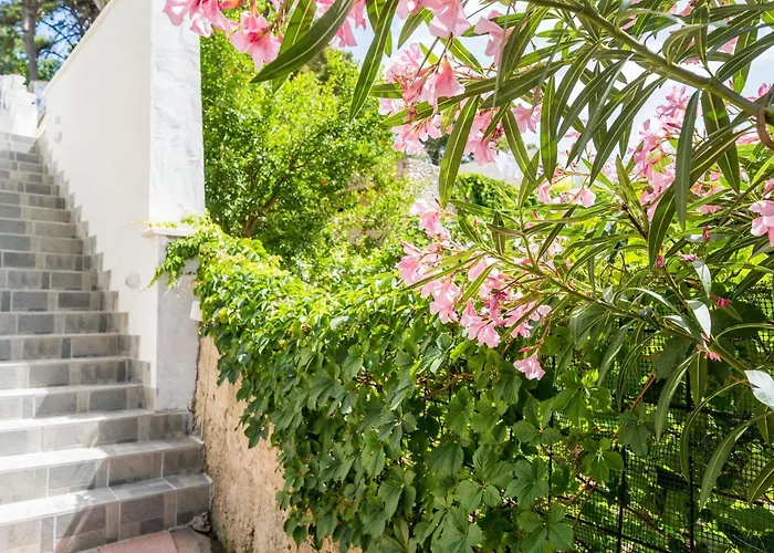 Lejlighed Eulalija- One-bedroom With Terrace And Sea View Dubrovnik