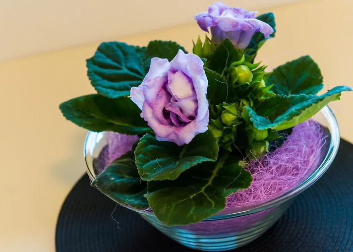 아파트 Eulalija- One-bedroom With Terrace And Sea View 두브로브니크