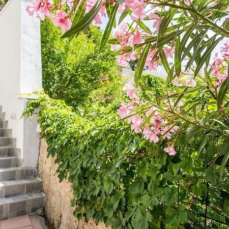 아파트 Eulalija- One-bedroom With Terrace And Sea View 두브로브니크